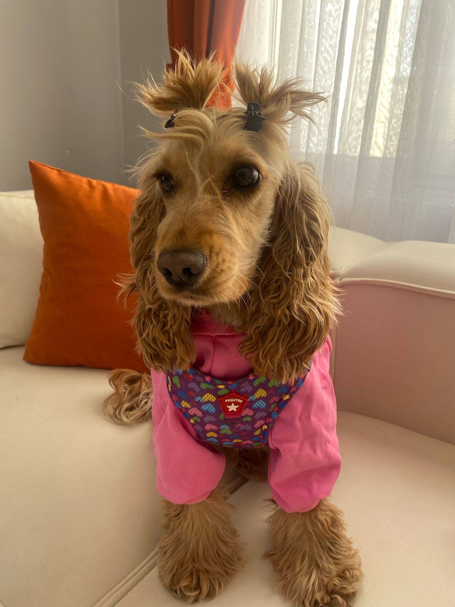 Margo
